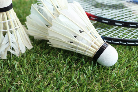 体关注度超 体关注度超